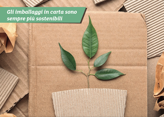 Gli imballaggi in carta: la forma naturale del futuro. Da qui parte lo studio di Two Side sulla sostenibilità offerta (e sempre più ricercata) dai packaging cartacei.