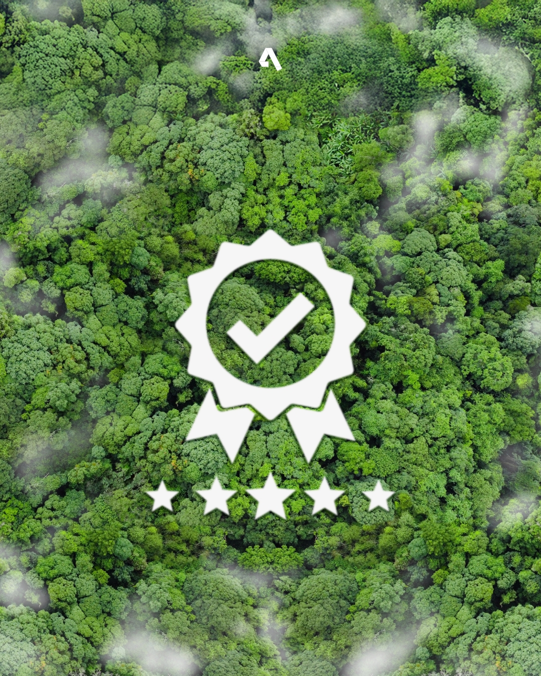L'impegno Adercarta per la sostenibilità degli imballaggi alimentari in carta: 5 certificazioni per una filiera sostenibile, dalla foresta al compost.